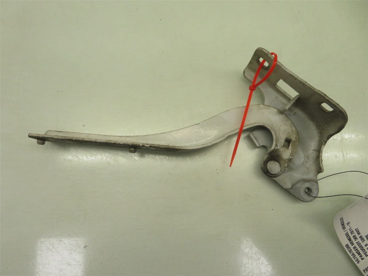 Panser Hengsel / Hengsler – bilde 1