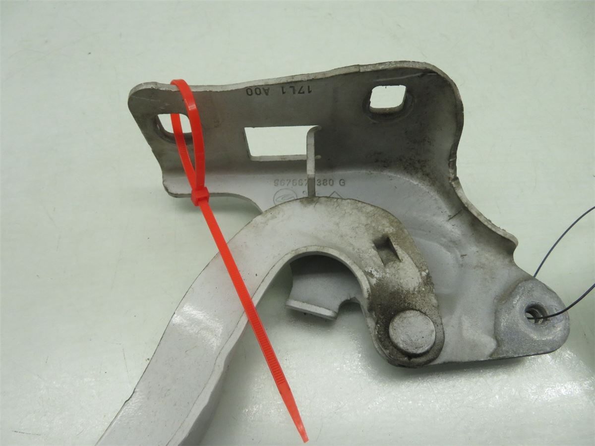 Panser Hengsel / Hengsler – bilde 2