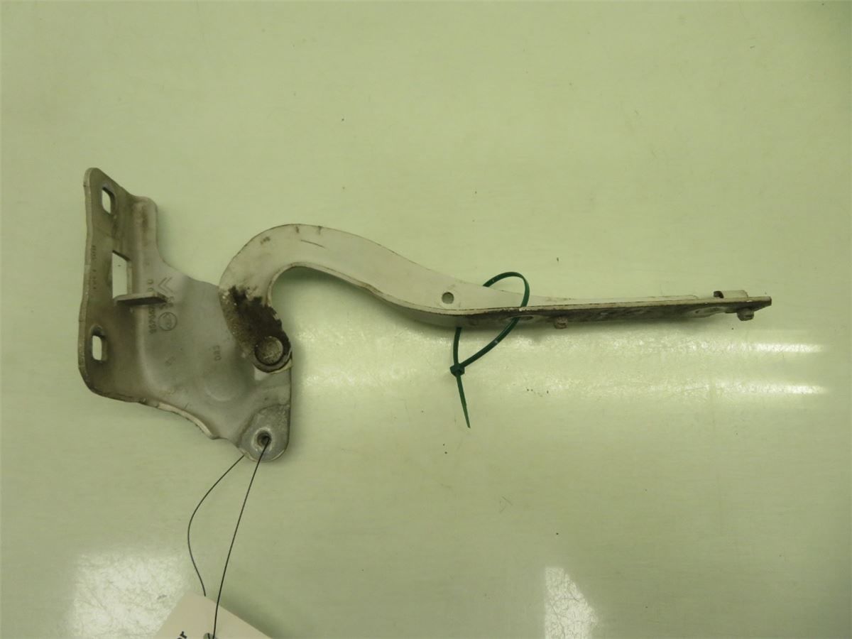 Panser Hengsel / Hengsler – bilde 1