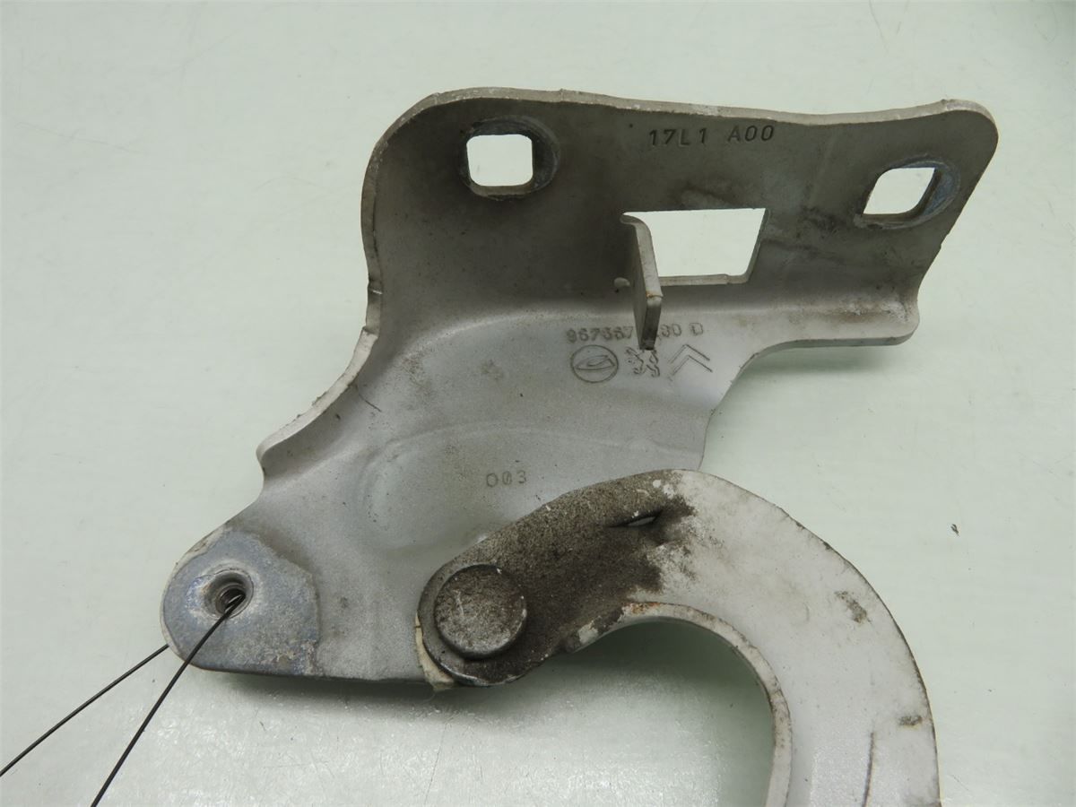 Panser Hengsel / Hengsler – bilde 2