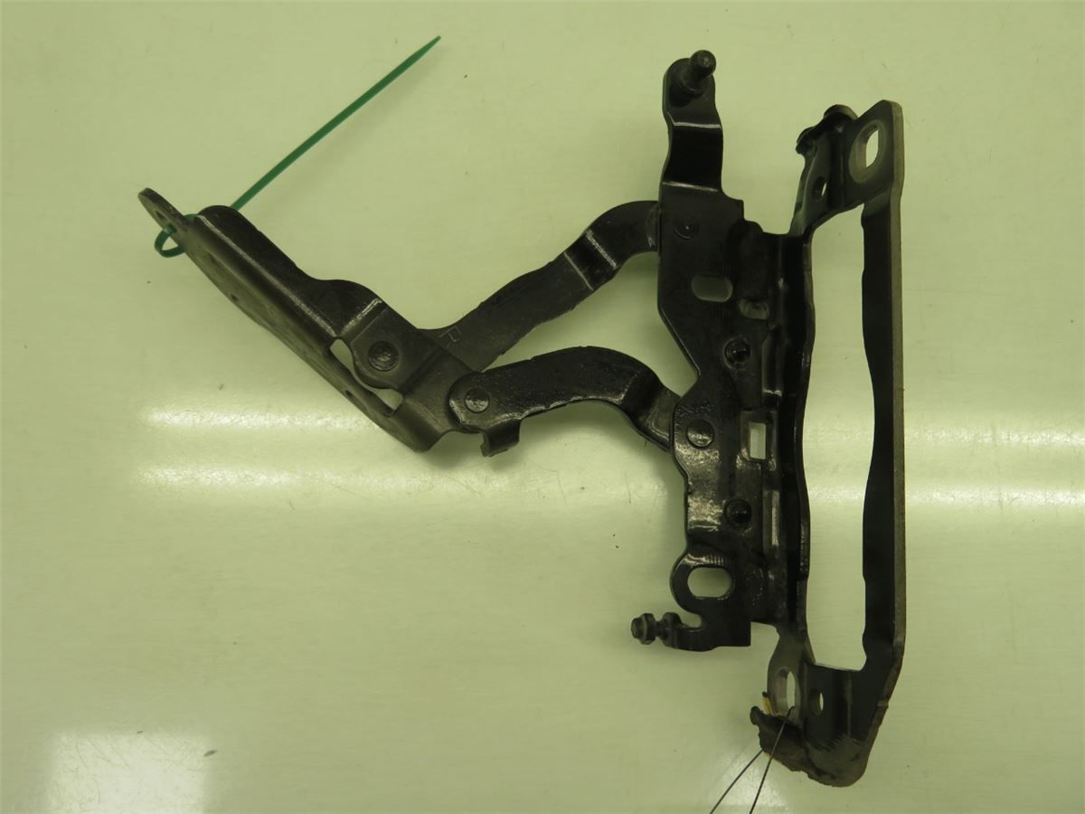 Panser Hengsel / Hengsler – bilde 1