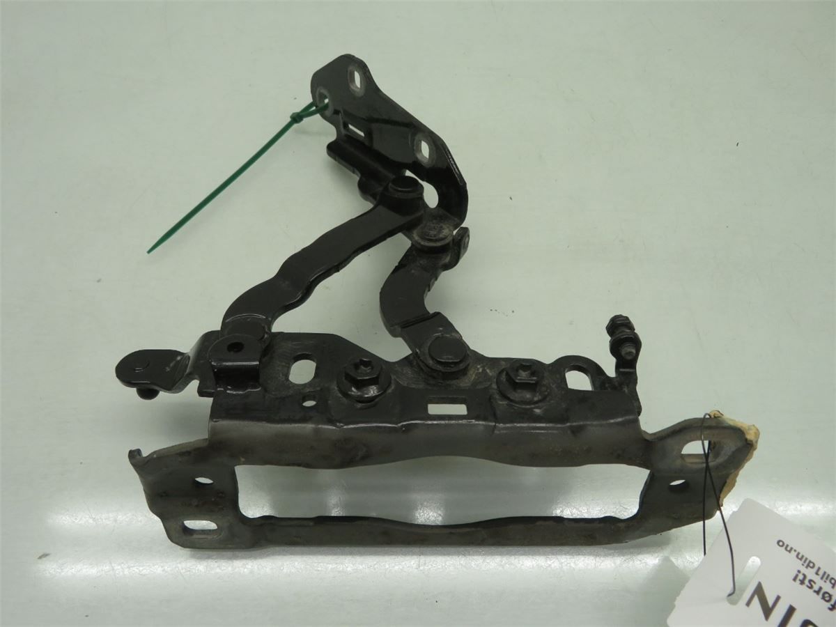 Panser Hengsel / Hengsler – bilde 3