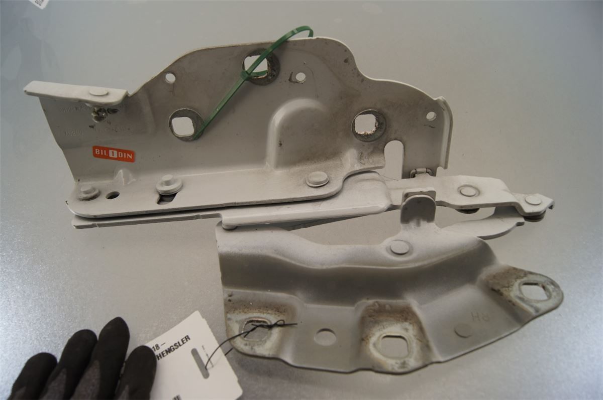 Panser Hengsel / Hengsler – bilde 1