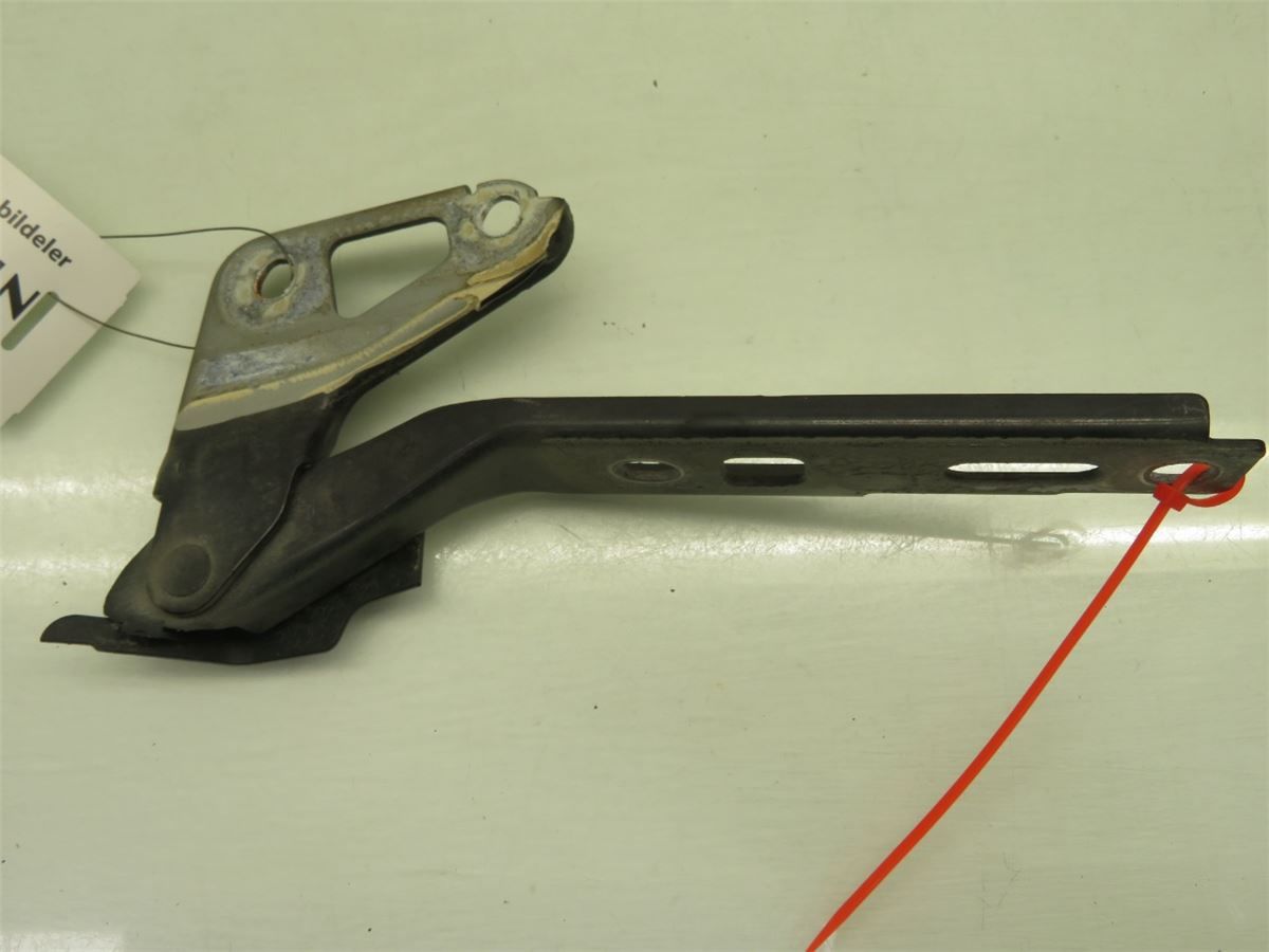 Panser Hengsel / Hengsler – bilde 2