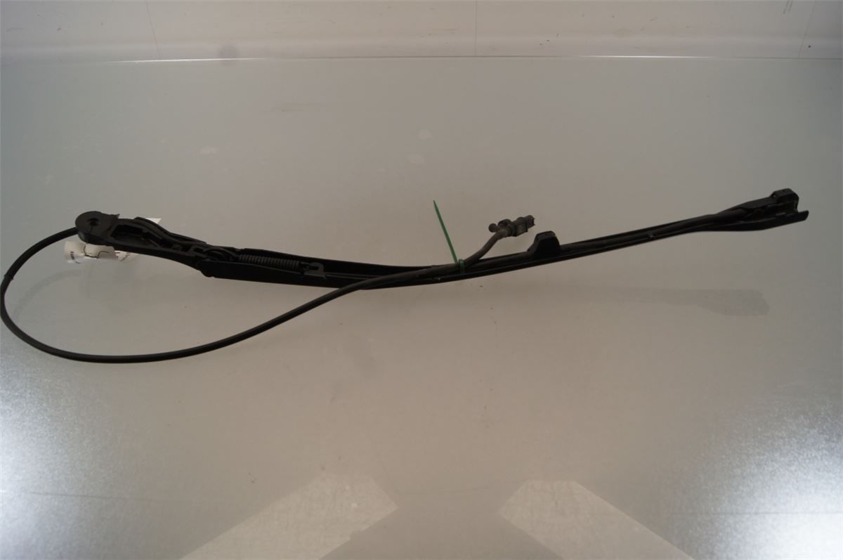 Viskerarm / Armer Frontrute – bilde 2