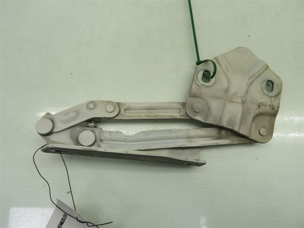 Panser Hengsel / Hengsler – bilde 1