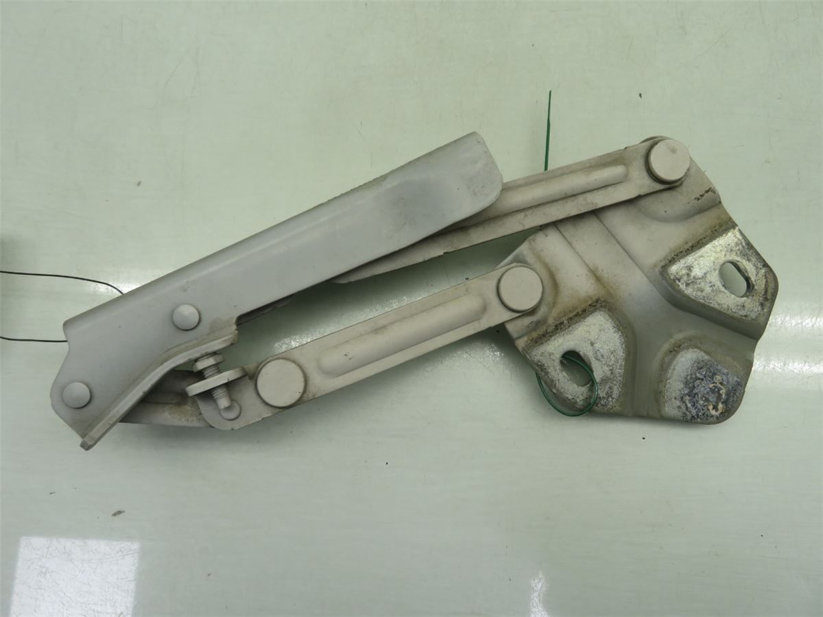 Panser Hengsel / Hengsler – bilde 2