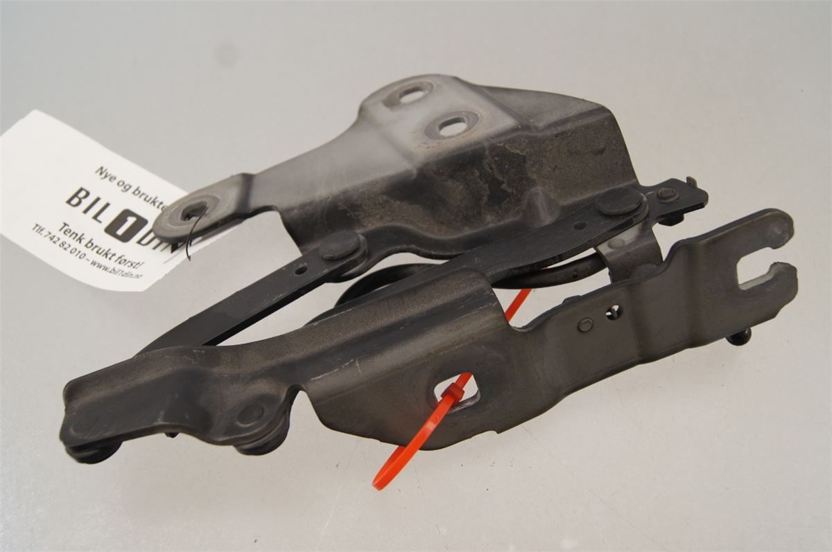 Panser Hengsel / Hengsler – bilde 2