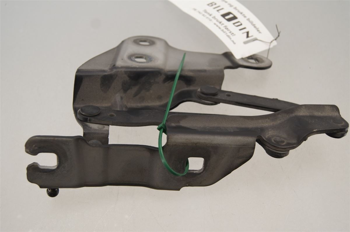 Panser Hengsel / Hengsler – bilde 1