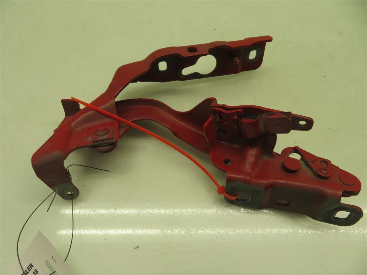 Panser Hengsel / Hengsler – bilde 2