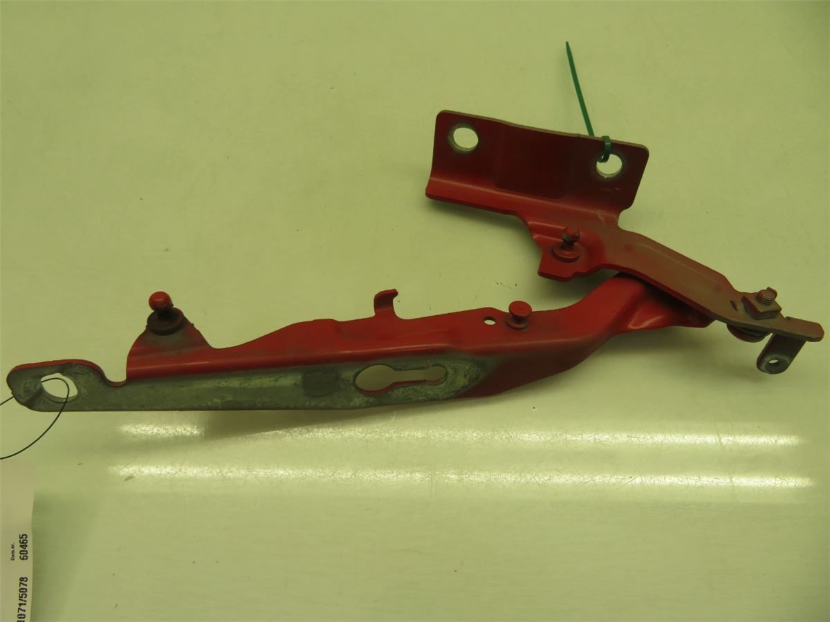 Panser Hengsel / Hengsler – bilde 2