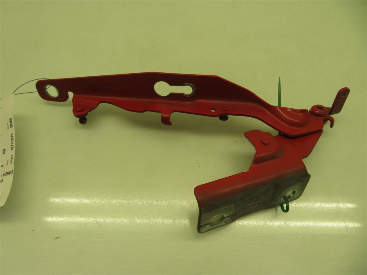 Panser Hengsel / Hengsler – bilde 3