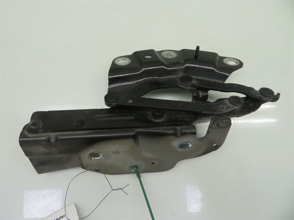 Panser Hengsel / Hengsler – bilde 1