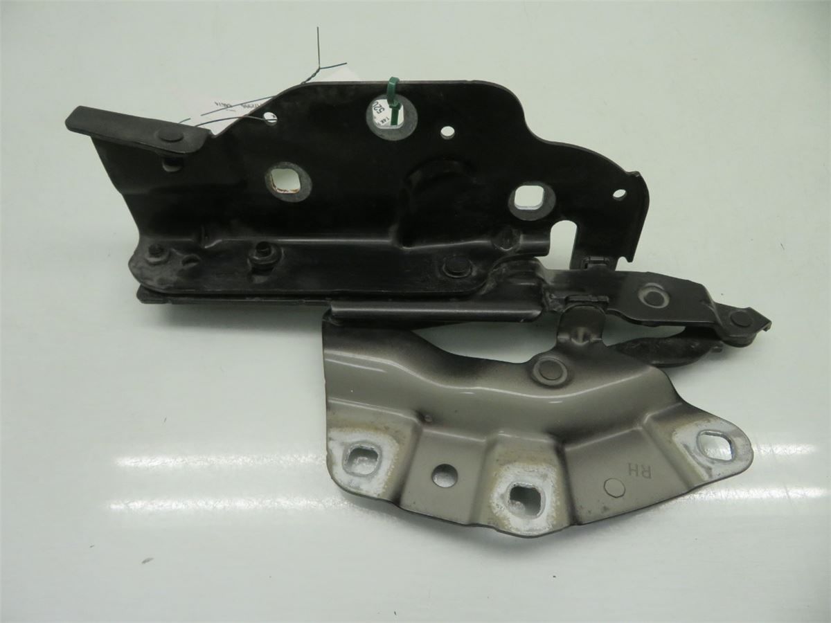 Panser Hengsel / Hengsler – bilde 2