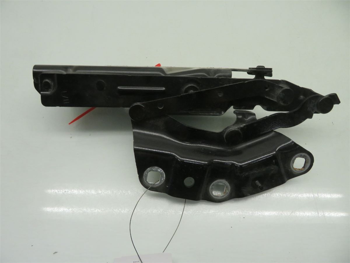 Panser Hengsel / Hengsler – bilde 2