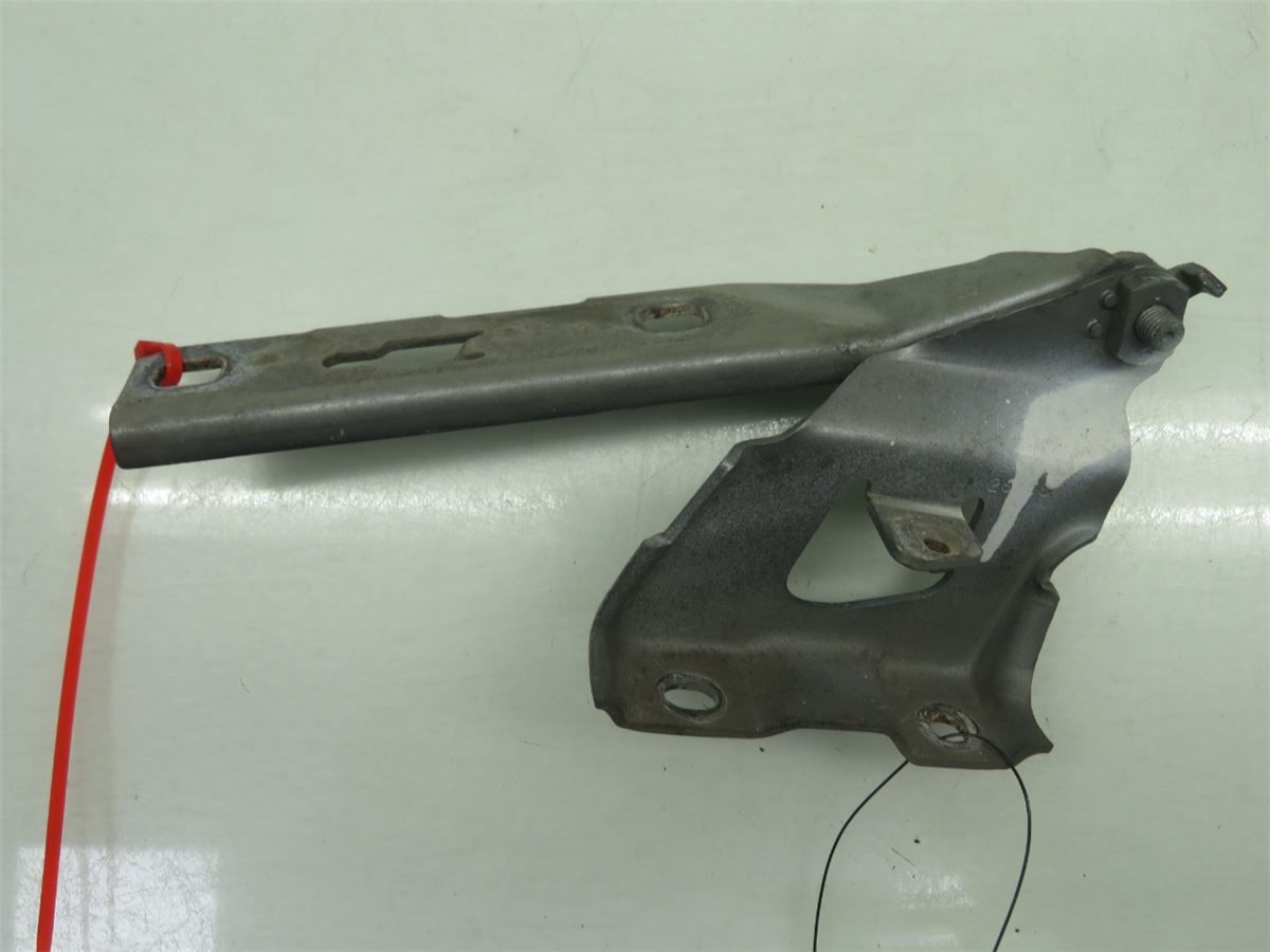 Panser Hengsel / Hengsler – bilde 1