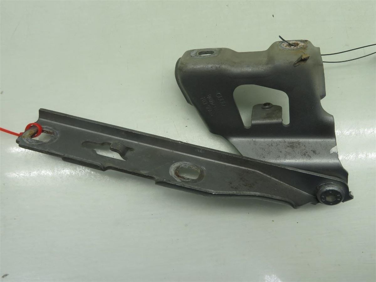 Panser Hengsel / Hengsler – bilde 2