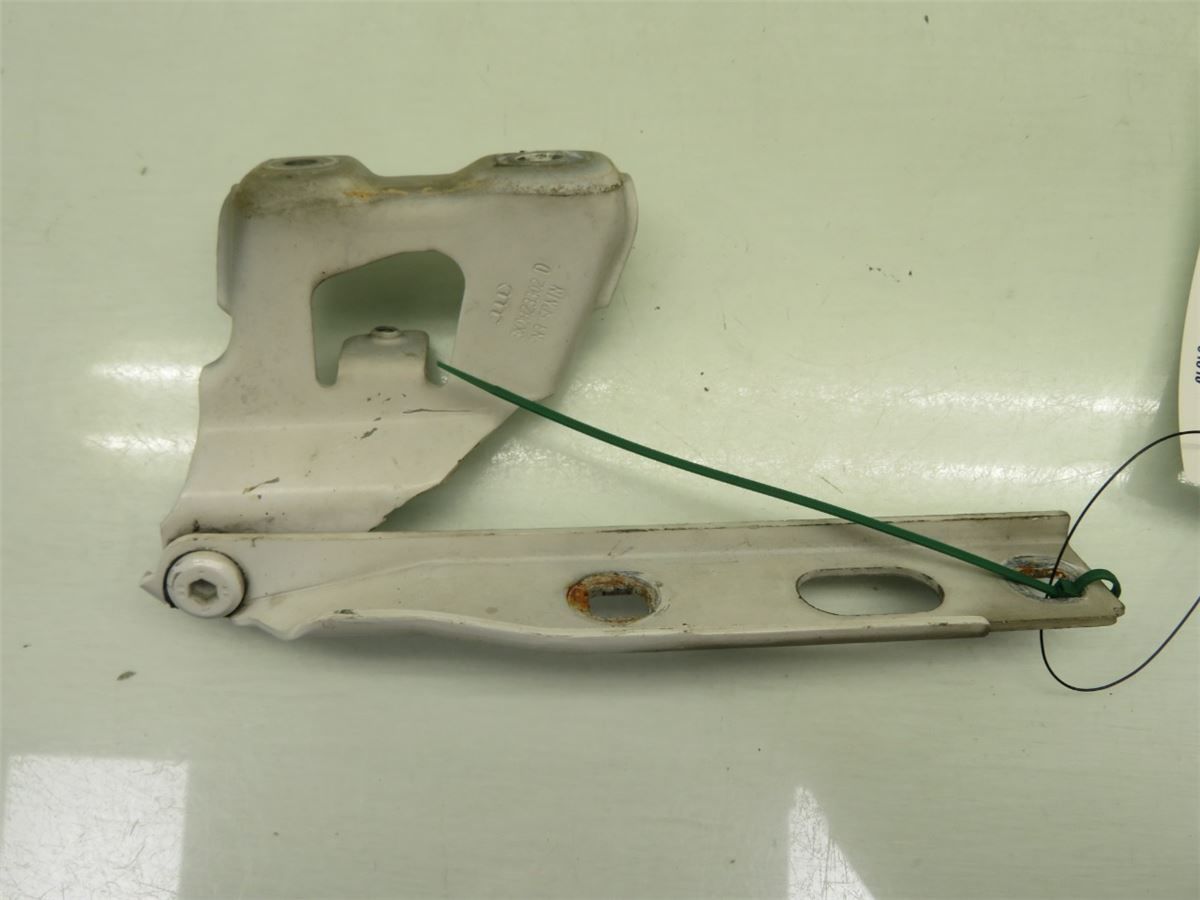 Panser Hengsel / Hengsler – bilde 1