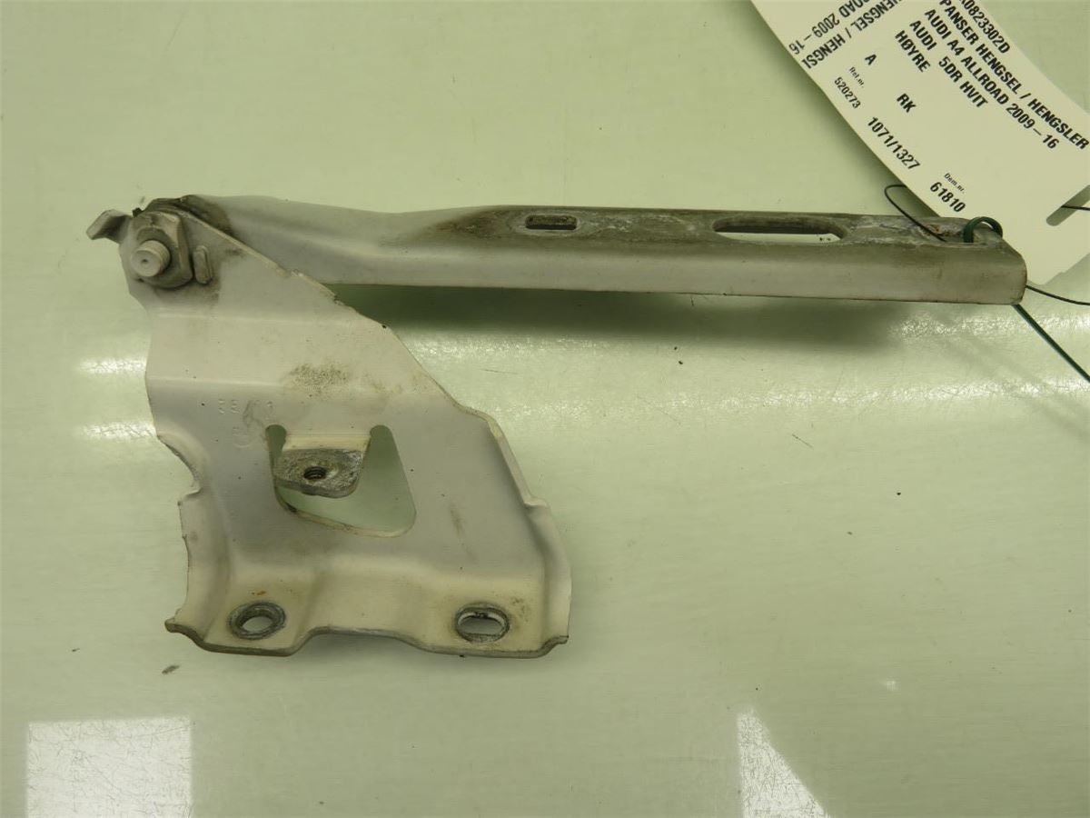 Panser Hengsel / Hengsler – bilde 3