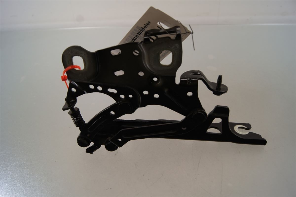 Panser Hengsel / Hengsler – bilde 1