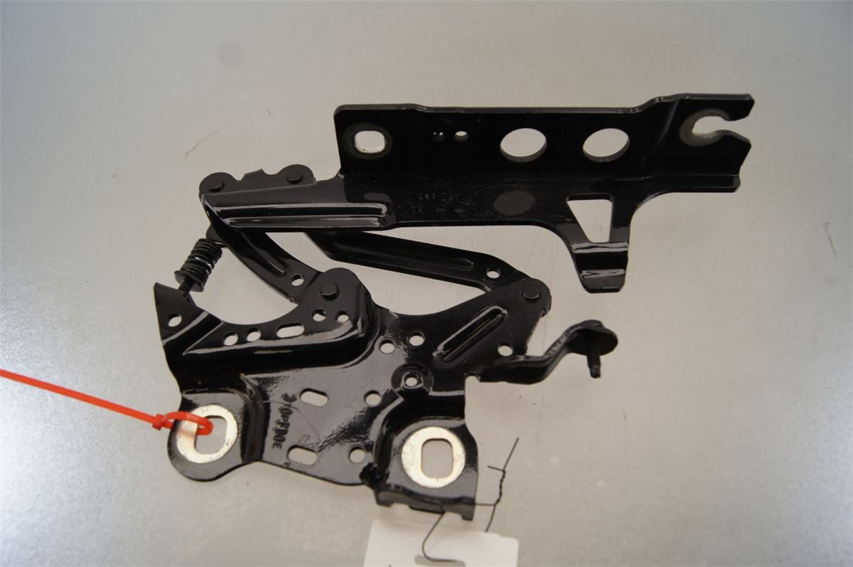 Panser Hengsel / Hengsler – bilde 2
