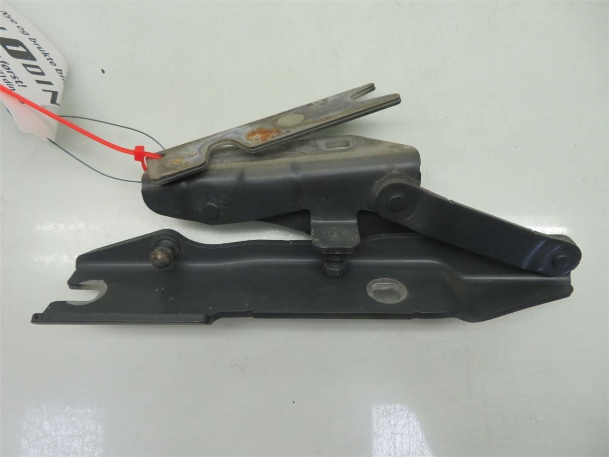 Panser Hengsel / Hengsler – bilde 3