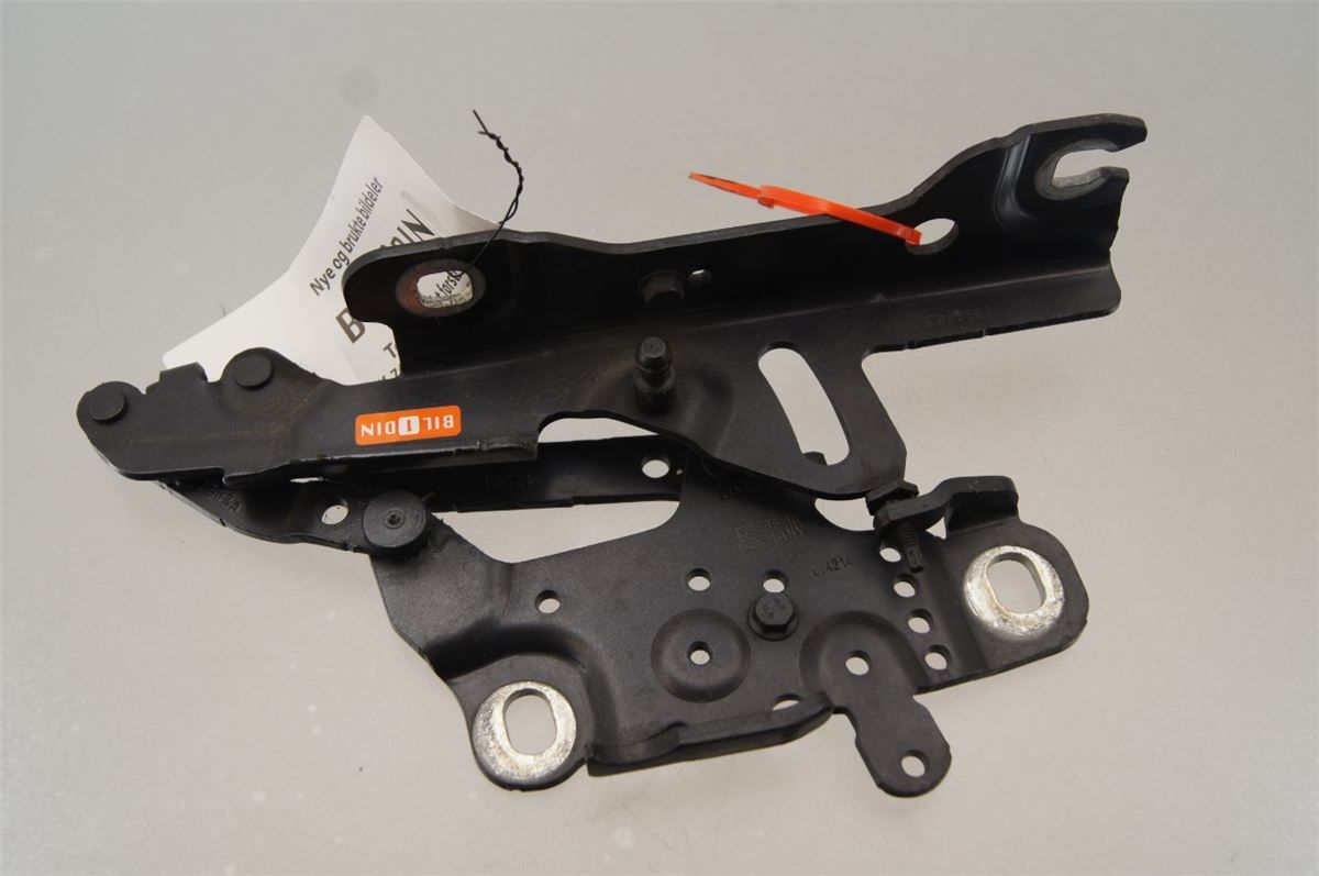 Panser Hengsel / Hengsler – bilde 1