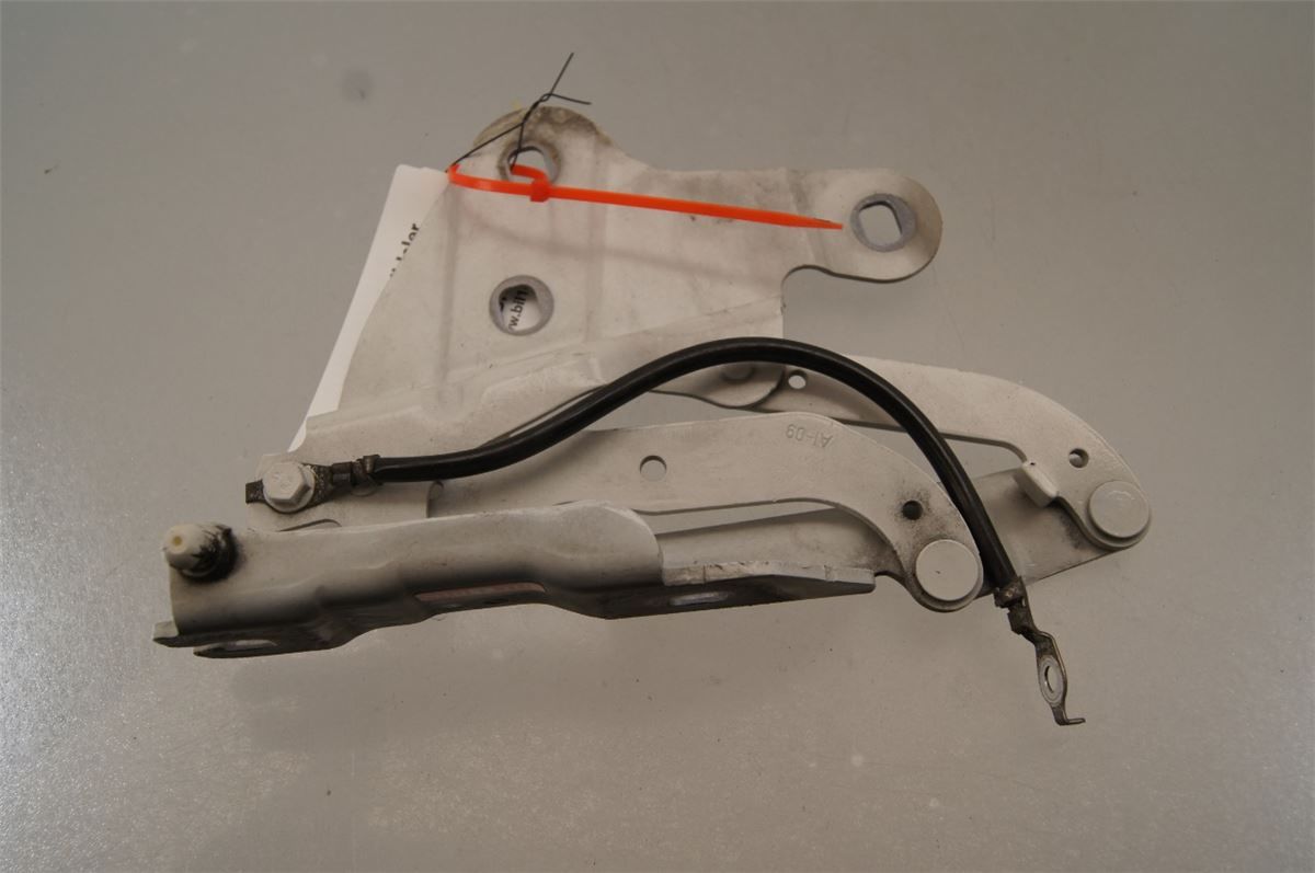 Panser Hengsel / Hengsler – bilde 1