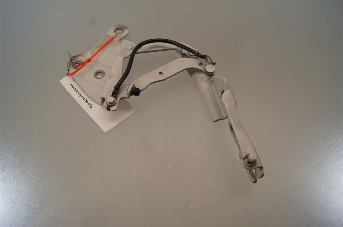 Panser Hengsel / Hengsler – bilde 2