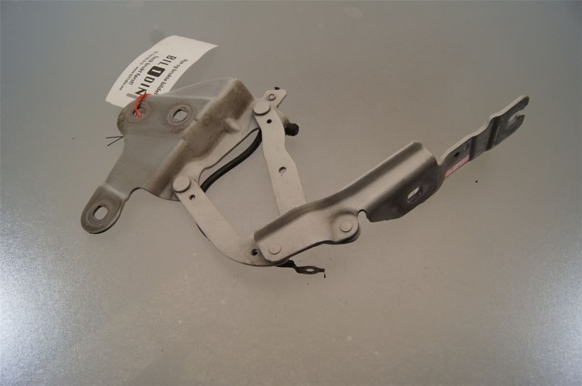 Panser Hengsel / Hengsler – bilde 3