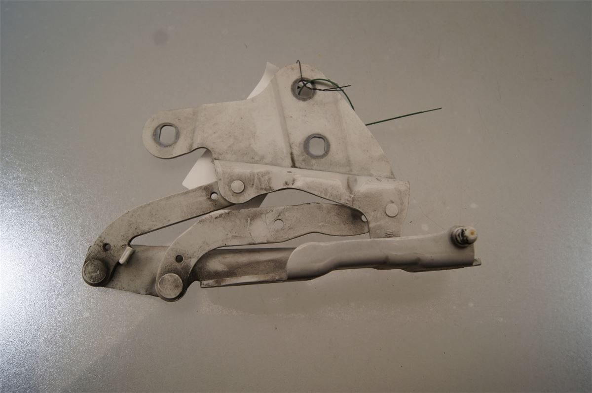 Panser Hengsel / Hengsler – bilde 1