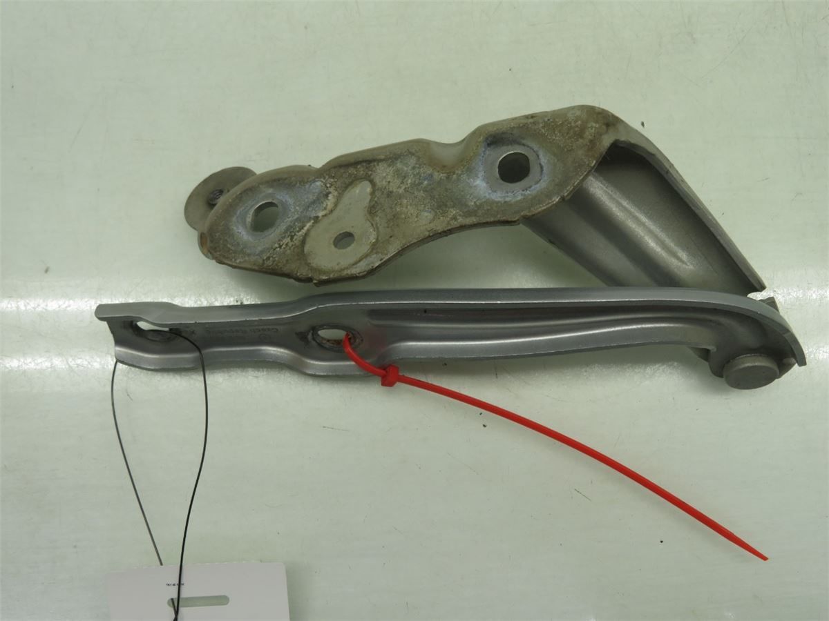 Panser Hengsel / Hengsler – bilde 1