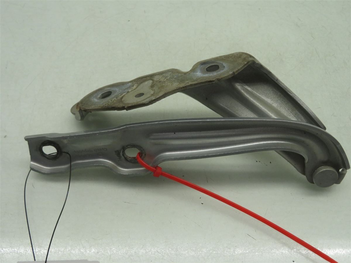 Panser Hengsel / Hengsler – bilde 2
