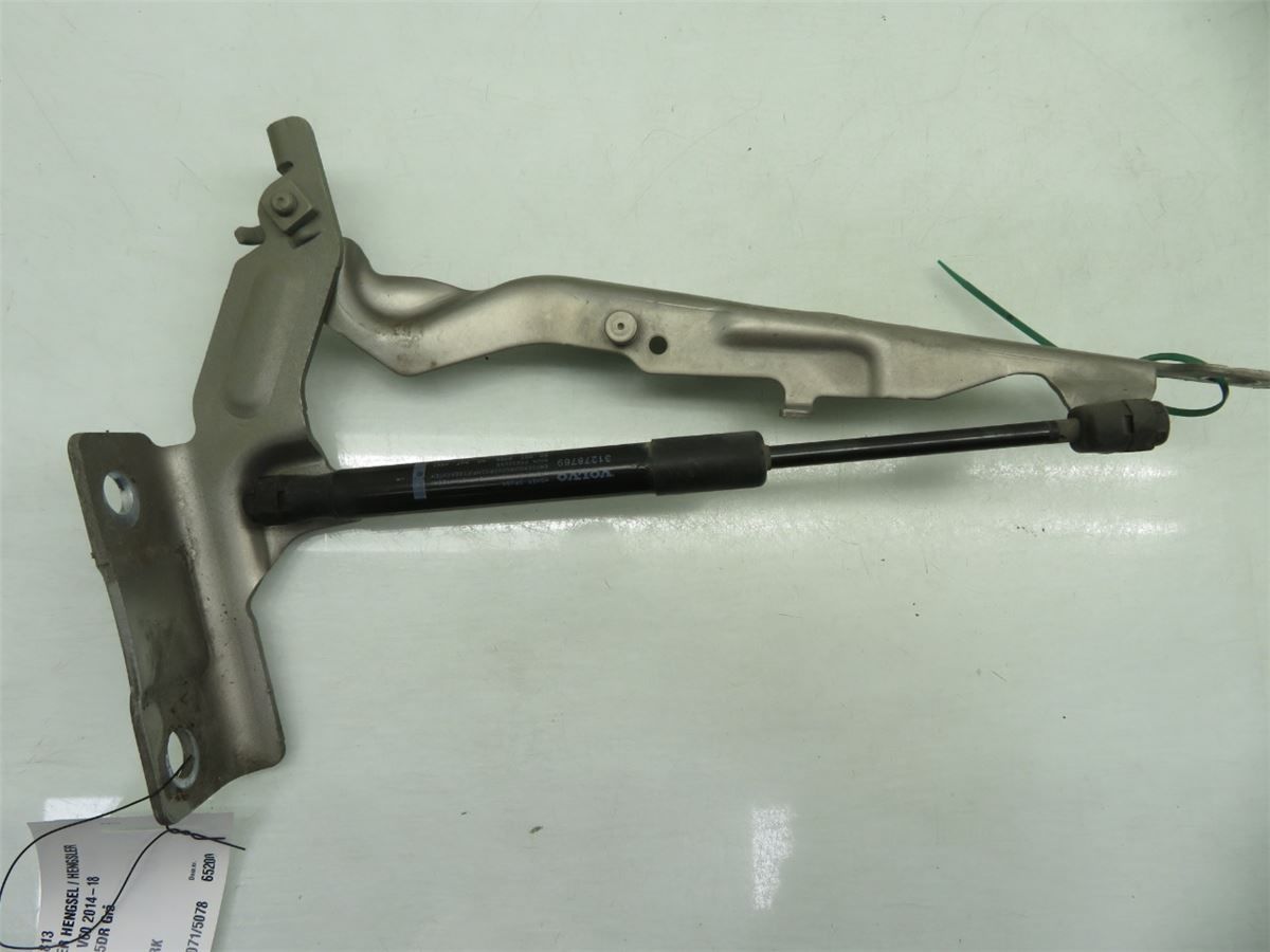 Panser Hengsel / Hengsler – bilde 1