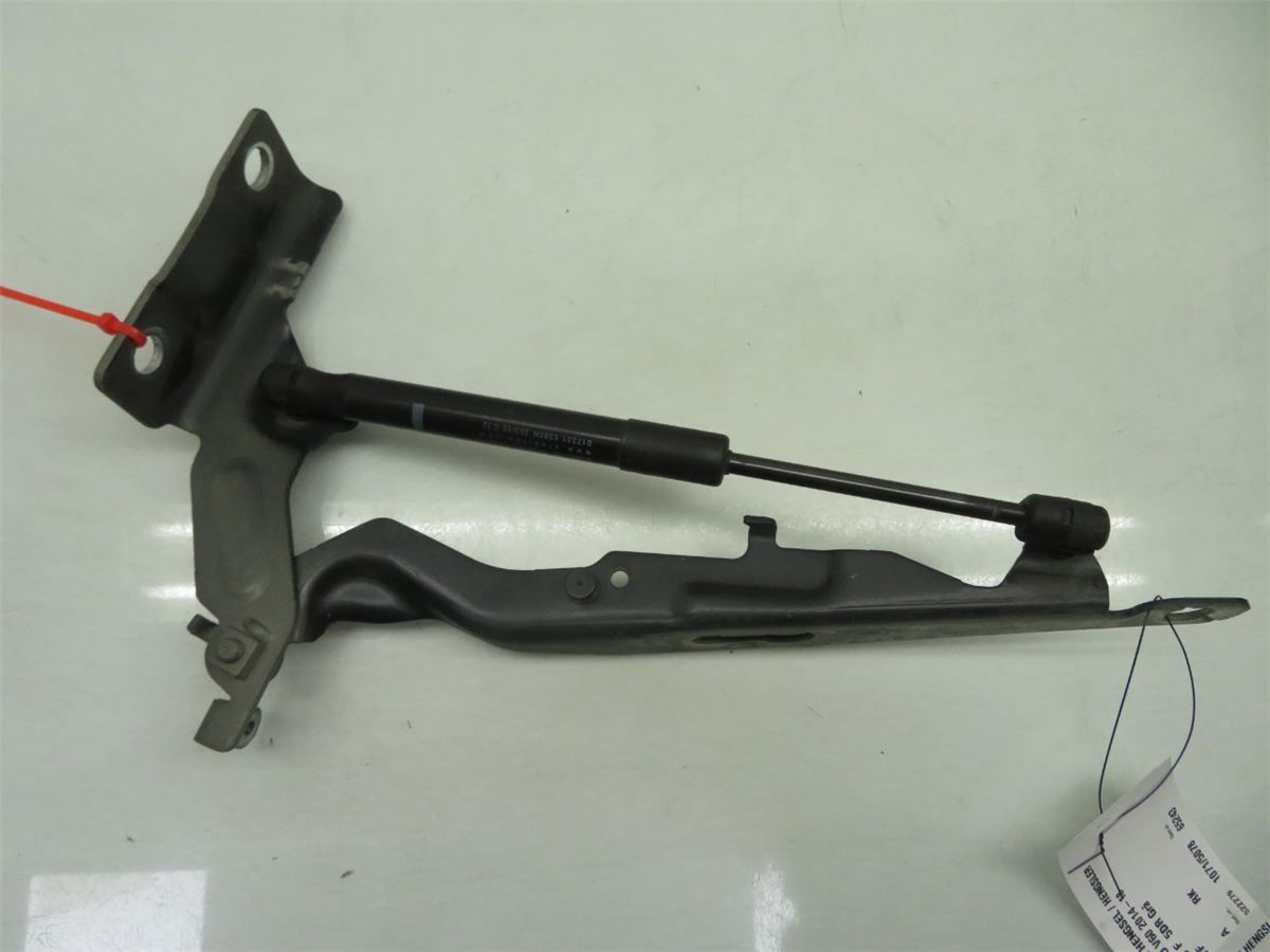 Panser Hengsel / Hengsler – bilde 2