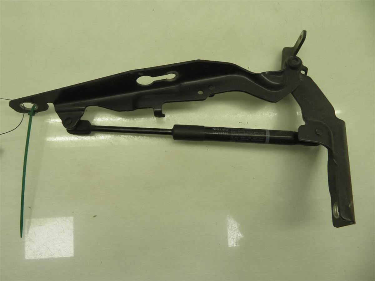 Panser Hengsel / Hengsler – bilde 2