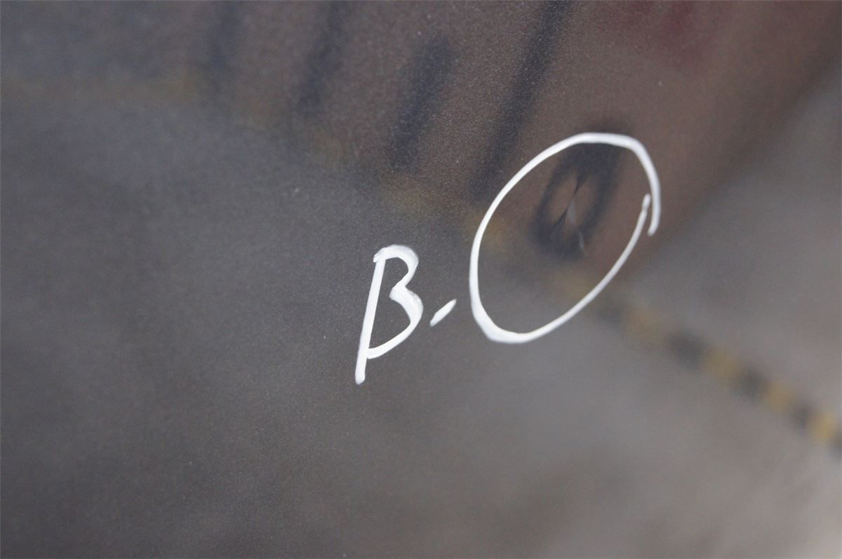 Panser – bilde 2
