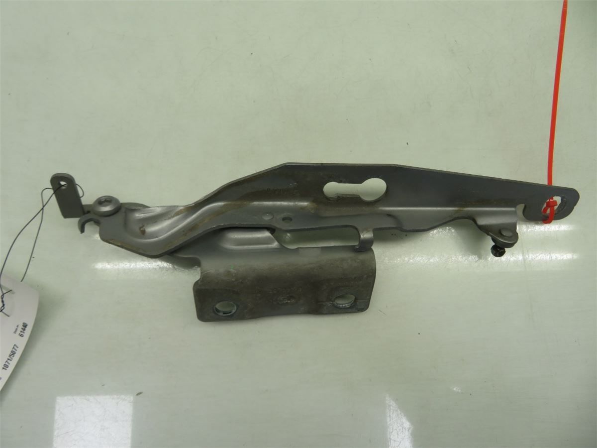 Panser Hengsel / Hengsler – bilde 1
