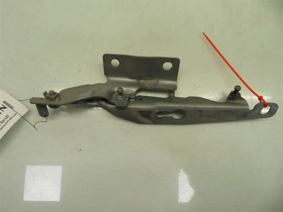 Panser Hengsel / Hengsler – bilde 2