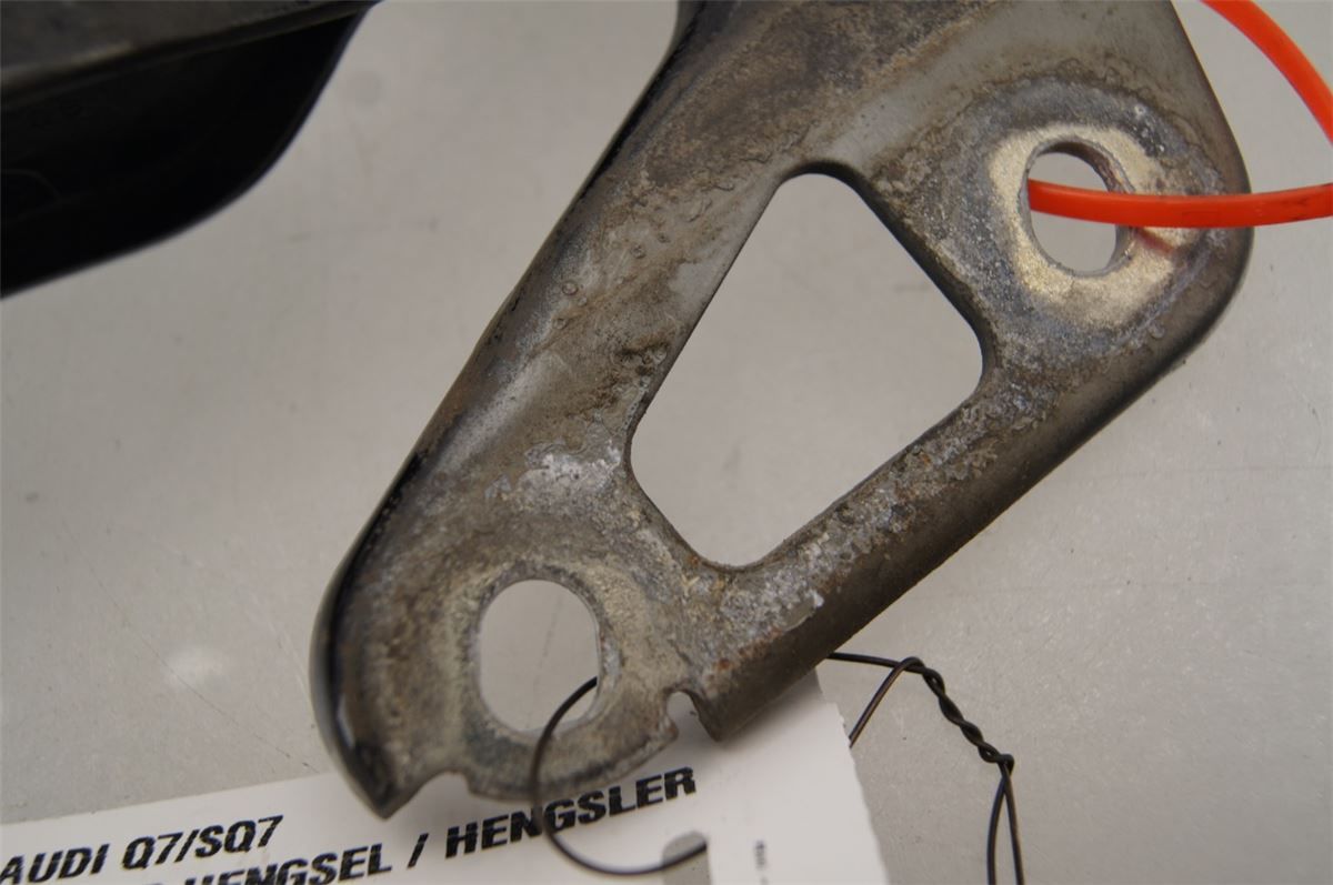Panser Hengsel / Hengsler – bilde 4