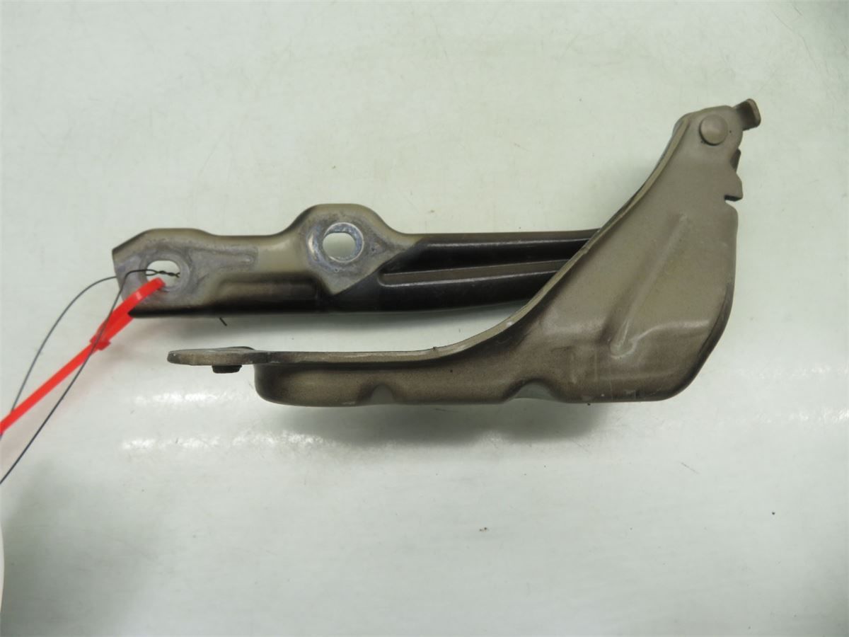 Panser Hengsel / Hengsler – bilde 2