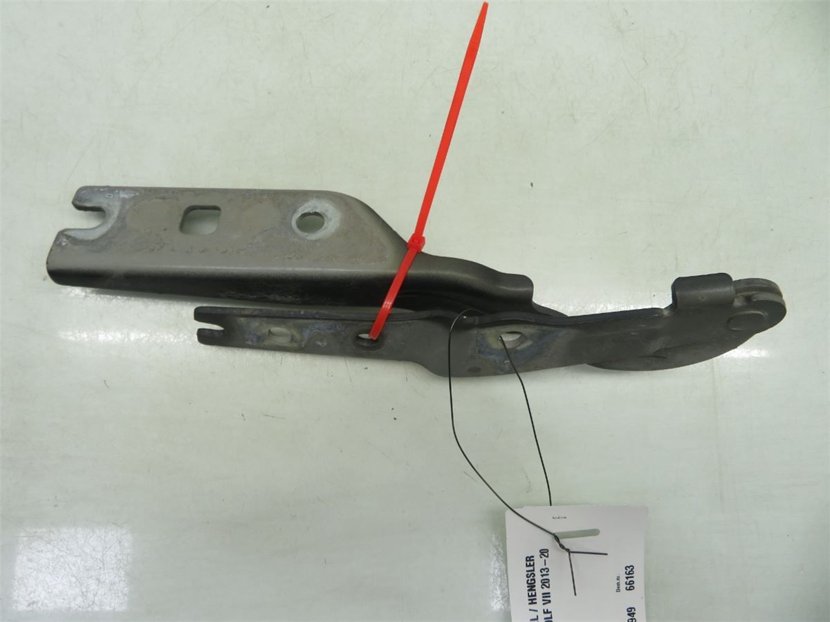 Panser Hengsel / Hengsler – bilde 1