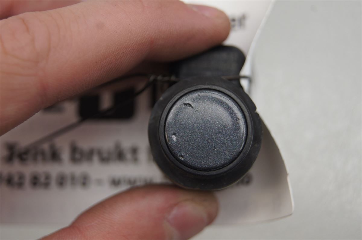 Sensor Ryggesensor – bilde 1