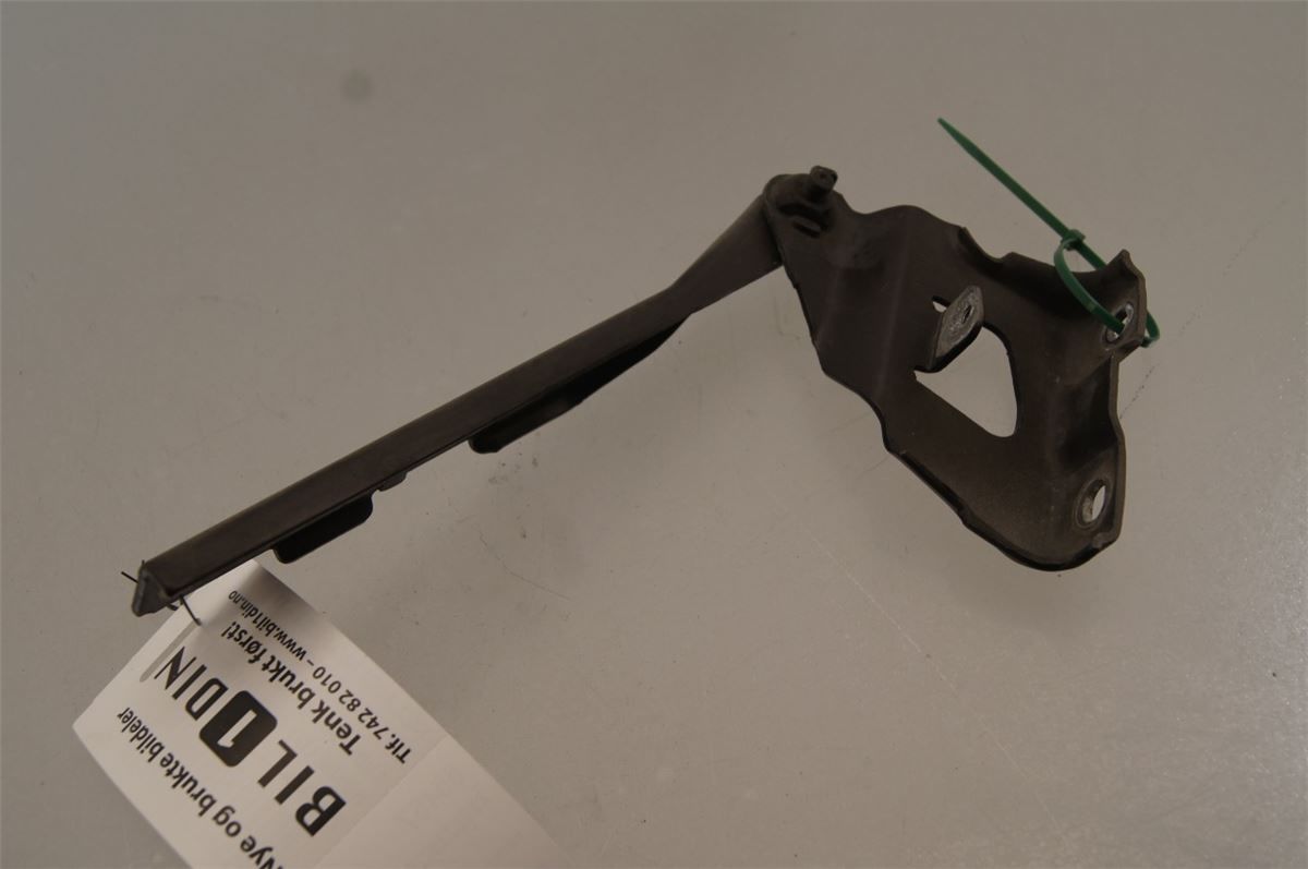 Panser Hengsel / Hengsler – bilde 1