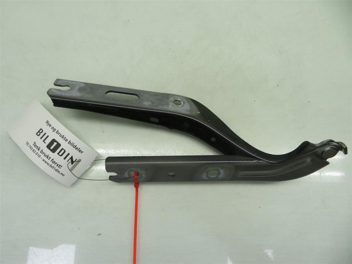 Panser Hengsel / Hengsler – bilde 2