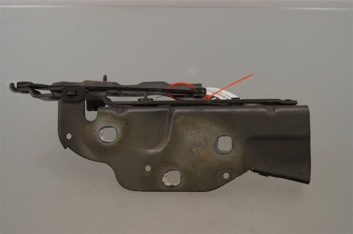 Panser Hengsel / Hengsler – bilde 2