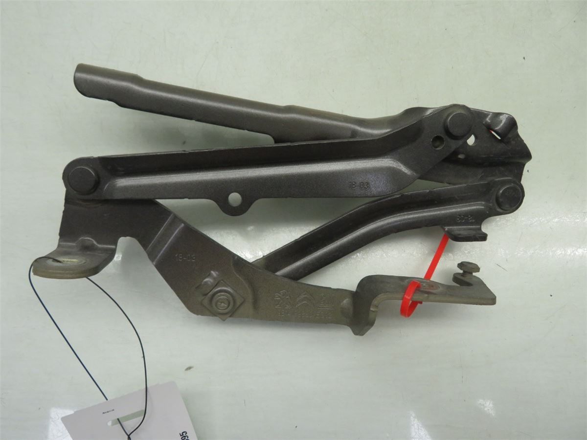 Panser Hengsel / Hengsler – bilde 1