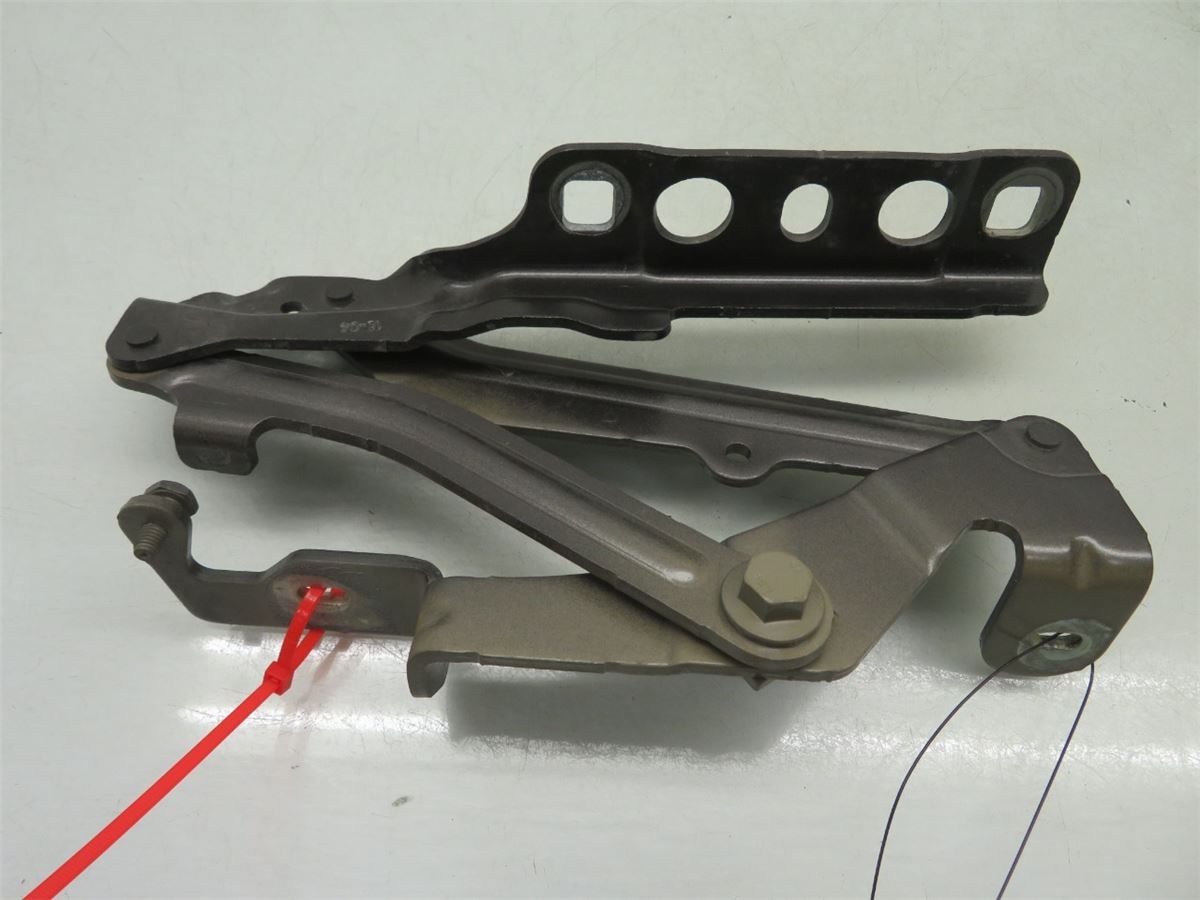 Panser Hengsel / Hengsler – bilde 3