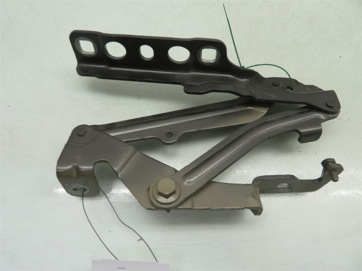Panser Hengsel / Hengsler – bilde 1