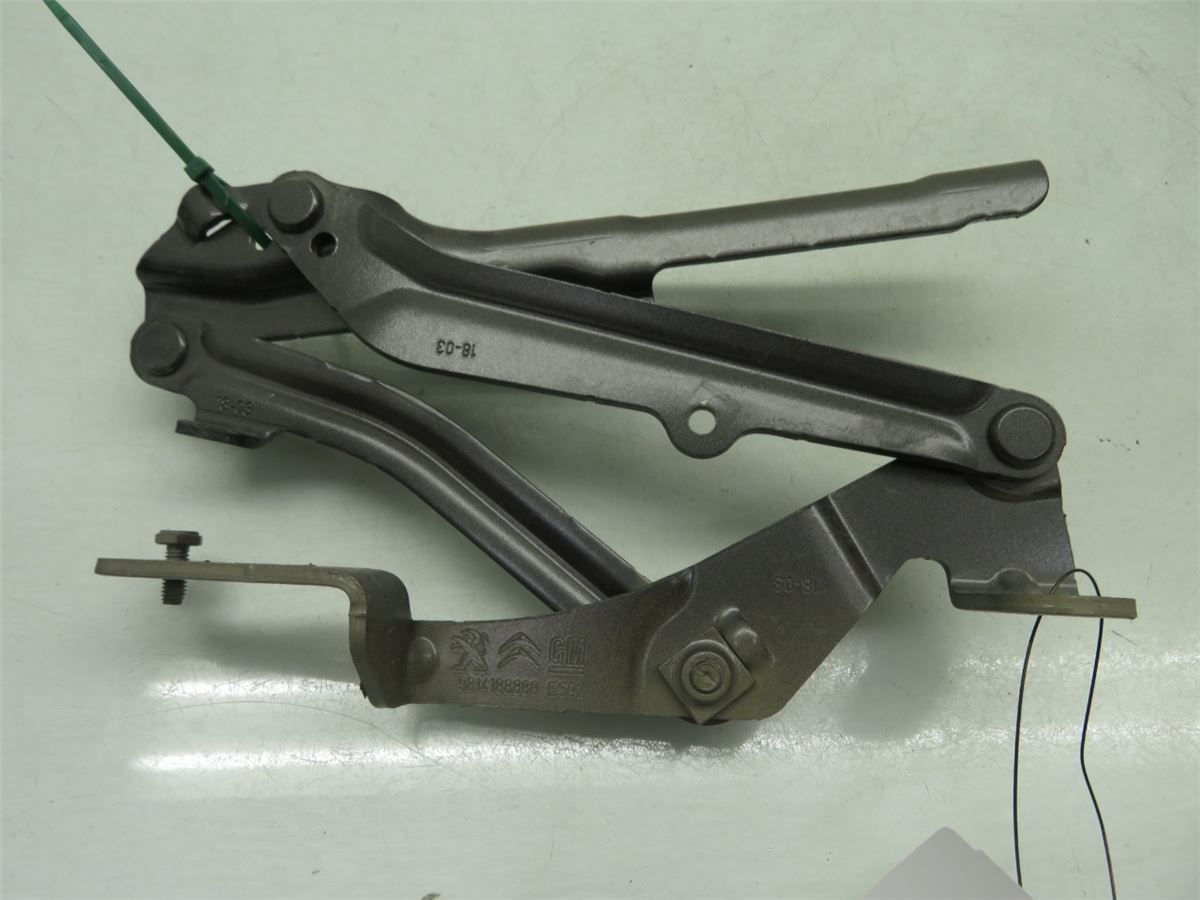 Panser Hengsel / Hengsler – bilde 2